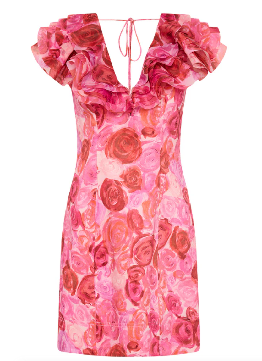 AJE Charmed Rose-Print Mini Dress - RAG REVOLUTION