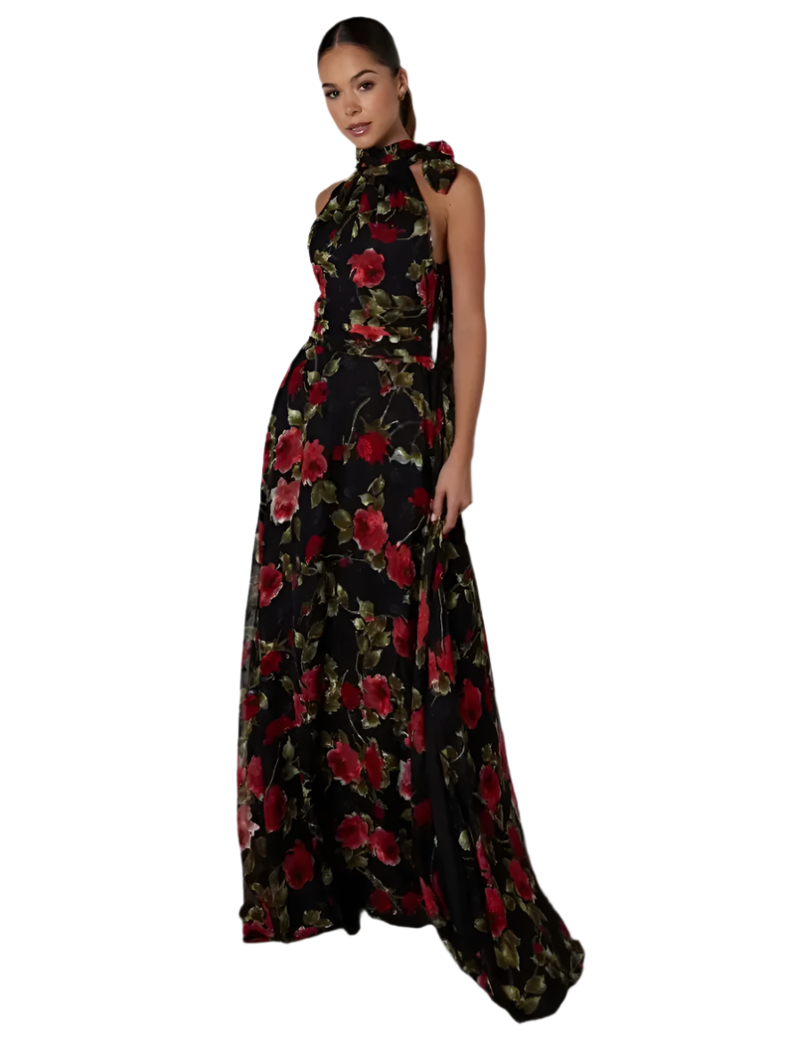 ALB Scarlet Rose Maxi Dress - RAG REVOLUTION