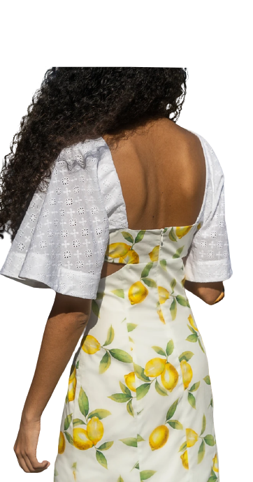 Rent La Semaine Paris Melody Lemon Dress - RAG REVOLUTION