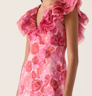 AJE Charmed Rose-Print Mini Dress - RAG REVOLUTION