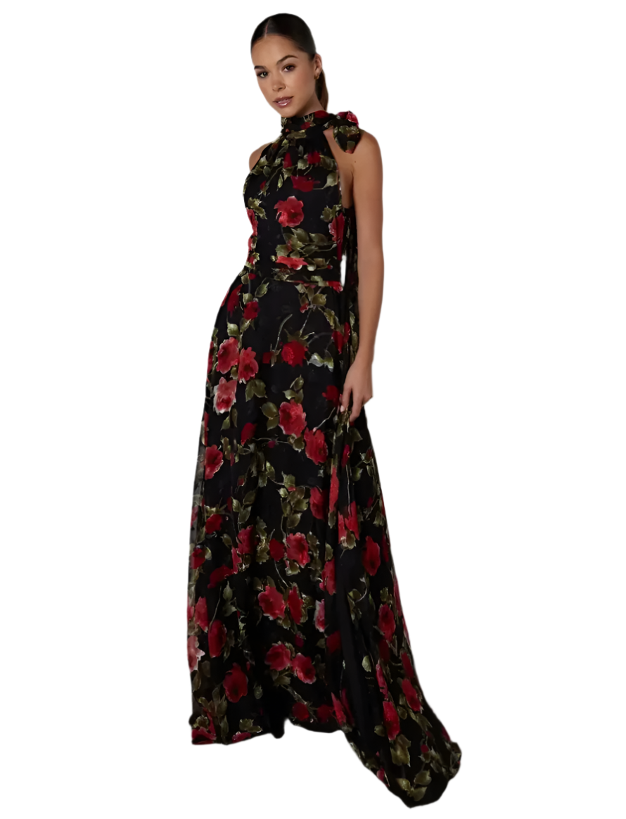 ALB Scarlet Rose Maxi Dress